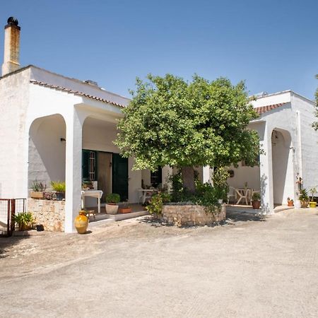 Wepuglia La Maison-D B&B Padresergio Exterior photo